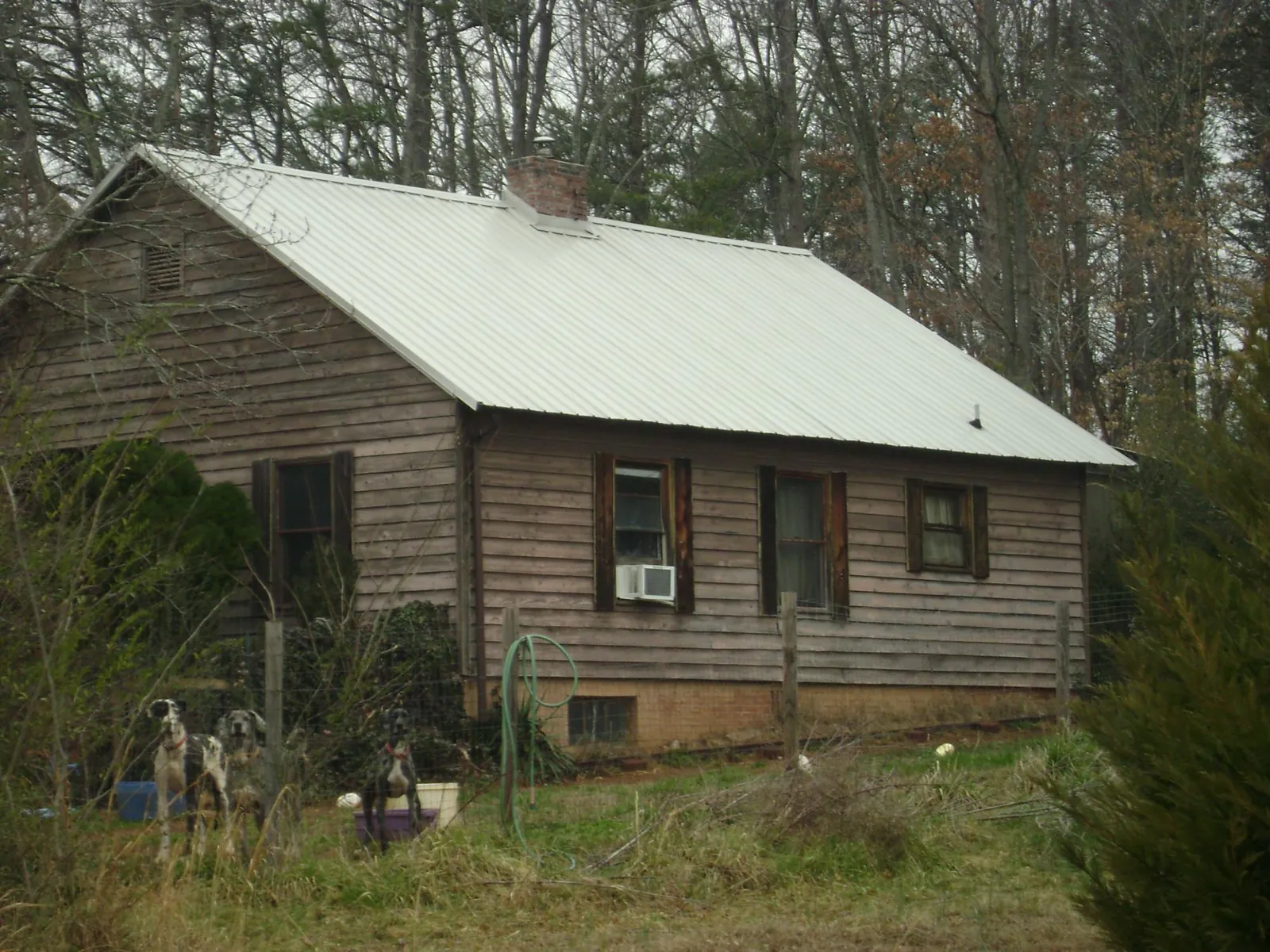 White metal roof on an old wood sided farmhouse, from a Asphalt Shingle Roof Repair job in Fall Branch